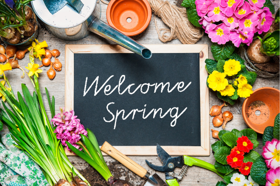 Plants surrounding a blackboard that says "Welcome Spring"